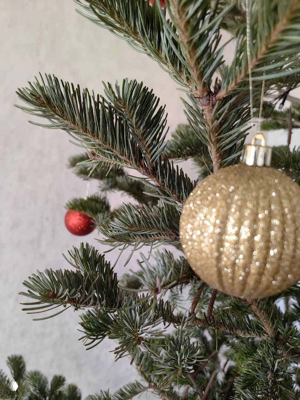 Простая привычка, меняющая состояние за 5 минут