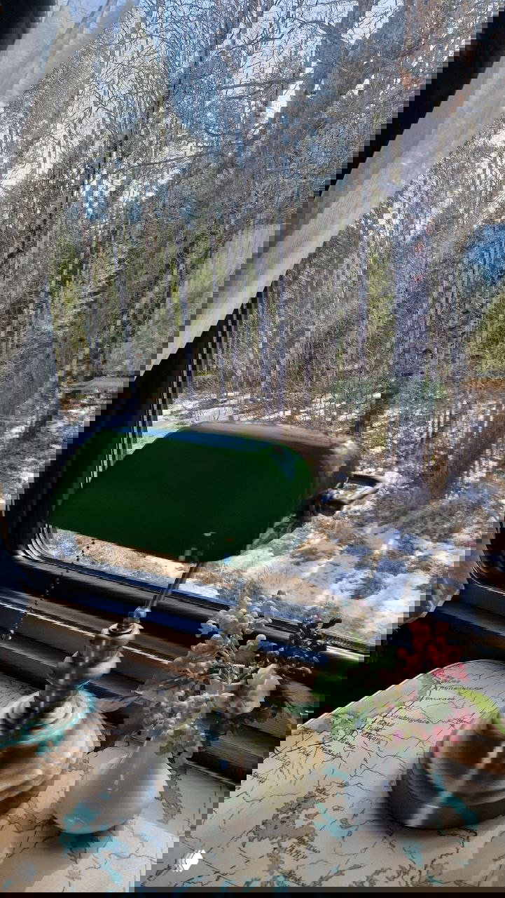 Вид из окна вагона на сосновый лес и остатки снега; на столике у окна винтажная зелёная лампа и карта маршрута — уютная поездная сцена.