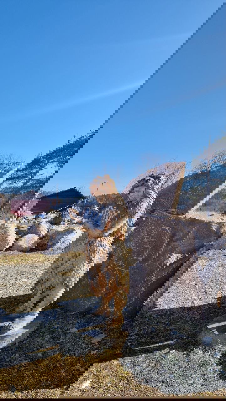 Деревянная скульптура персонажа в народном образе с табличкой «ВХОД» на фоне валунов и хвойных деревьев; декоративная деревянная резьба на улице парка.