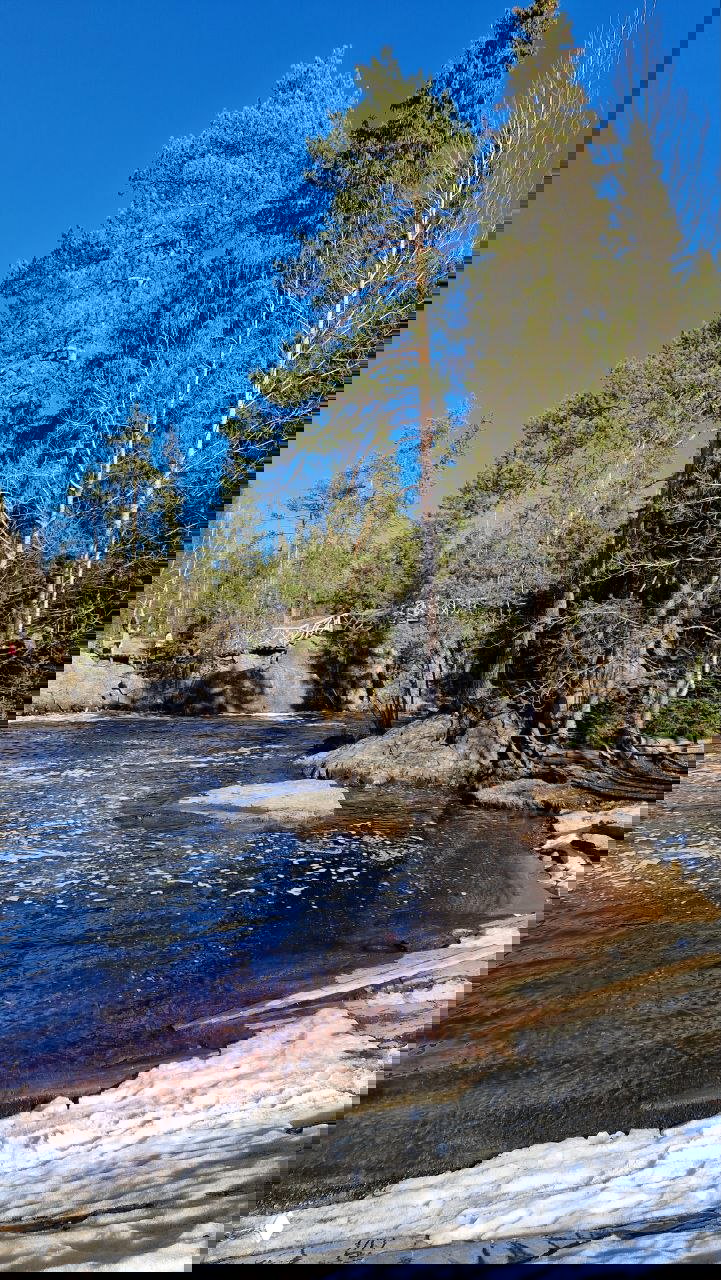 Широкий вид порожистой реки с тёмно-коричневой пеной у берега, скалы и хвойные деревья, на заднем плане деревянные переходы маршрута.