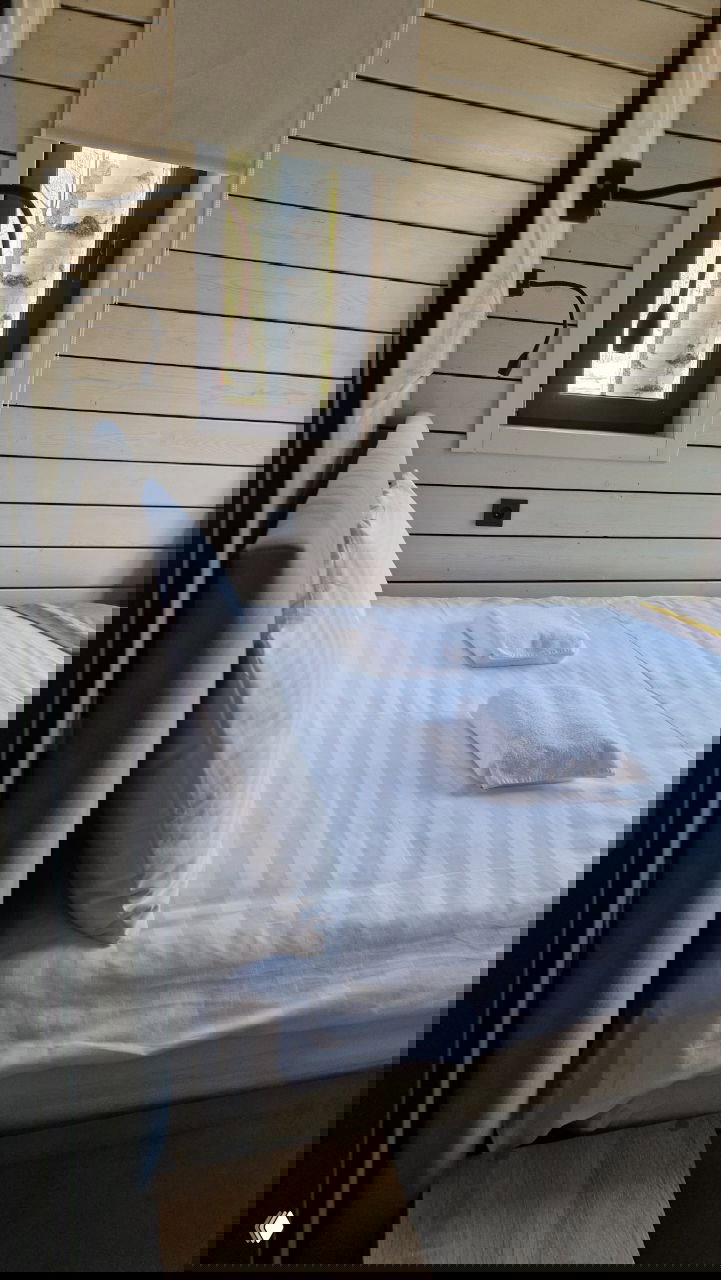 Кровать и изголовье у маленького окна; через стекло видны стволы берёз — уютный интерьер и связь с природой.