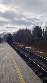 Паровоз на подходе к деревянной платформе станции: ретро‑состав на паровой тяге, облачное небо, пустой перрон и редкие прохожие на фоне леса.