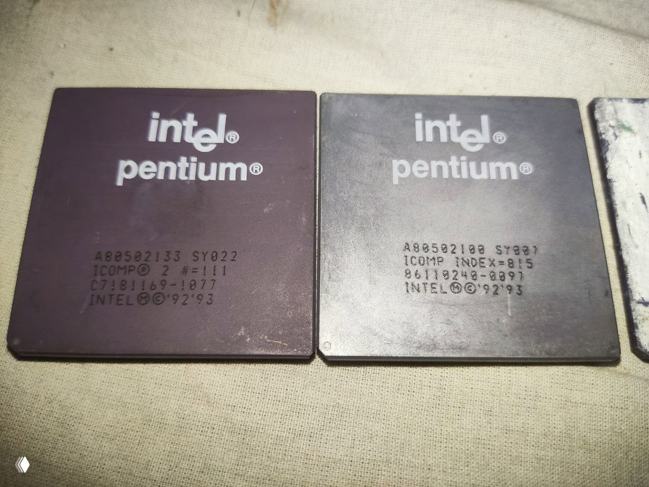 Крупный план пары процессоров Intel Pentium рядом: фиолетово‑тёмные корпуса с логотипом Intel и видимыми печатными маркировками и цветовой разницей.