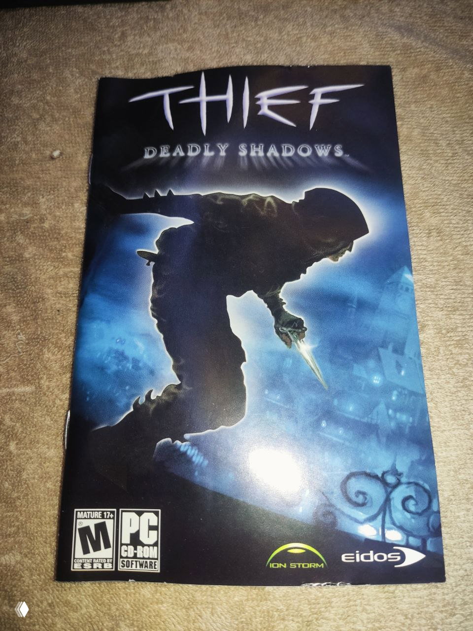 Обложка мануала Thief: Deadly Shadows с силуэтом вора на синеватом фоне, видны логотипы PC, Ion Storm и Eidos внизу.