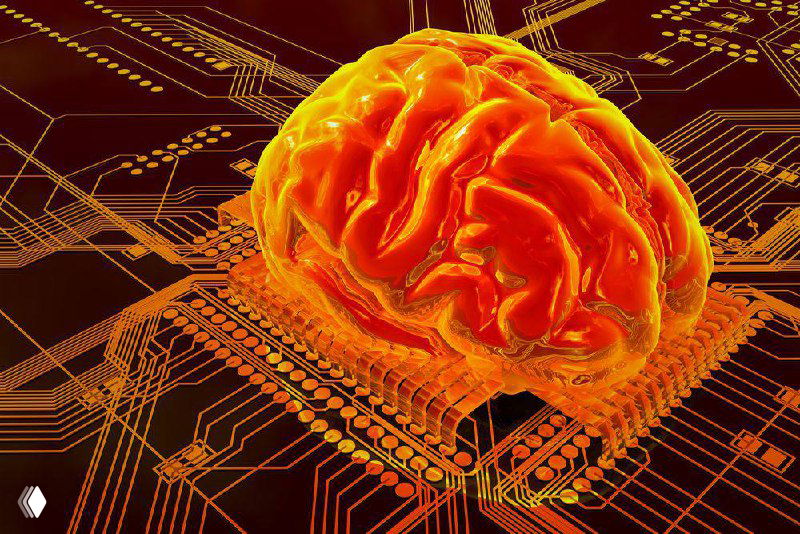 Как мозг реагирует на помощь ИИ