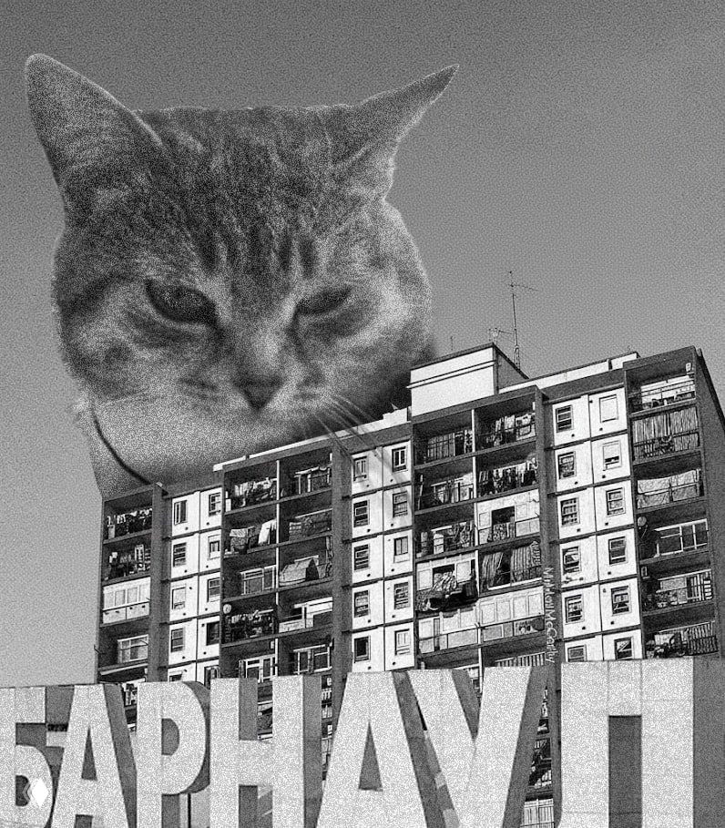 Персональные книжные подборки от Сергея из Барнаула