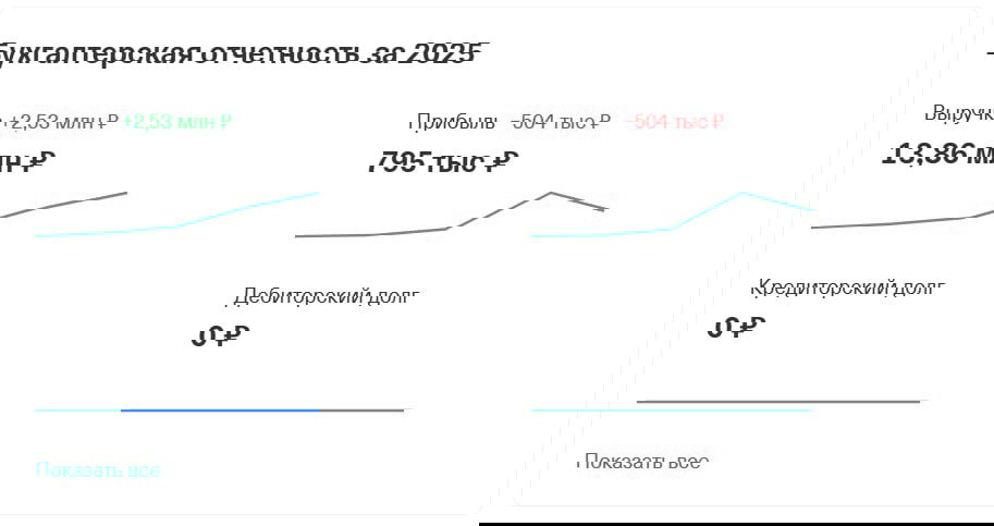 Фрагмент отчёта «Бухгалтерская отчётность за 2025» с графиками выручки и прибыли и нулевой дебиторской задолженностью в карточке магазина.