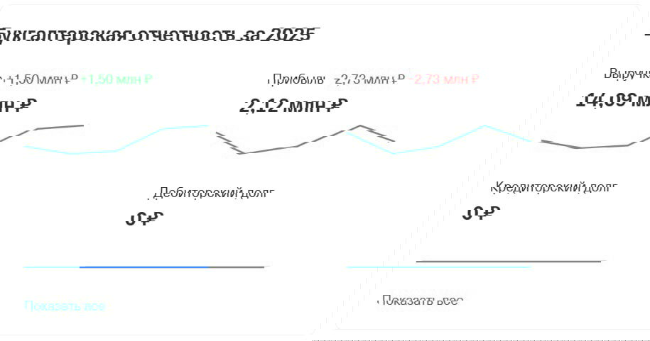 Карточка бухгалтерской отчётности за 2025: показаны выручка и прибыль в виде цифр и линейного графика — данные по независимым книжным.