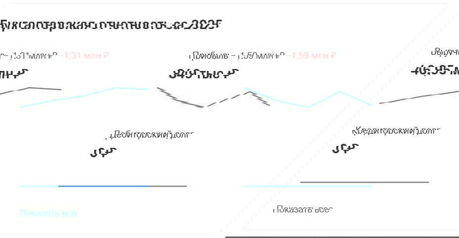 Прибыль независимых книжных за 2025 год