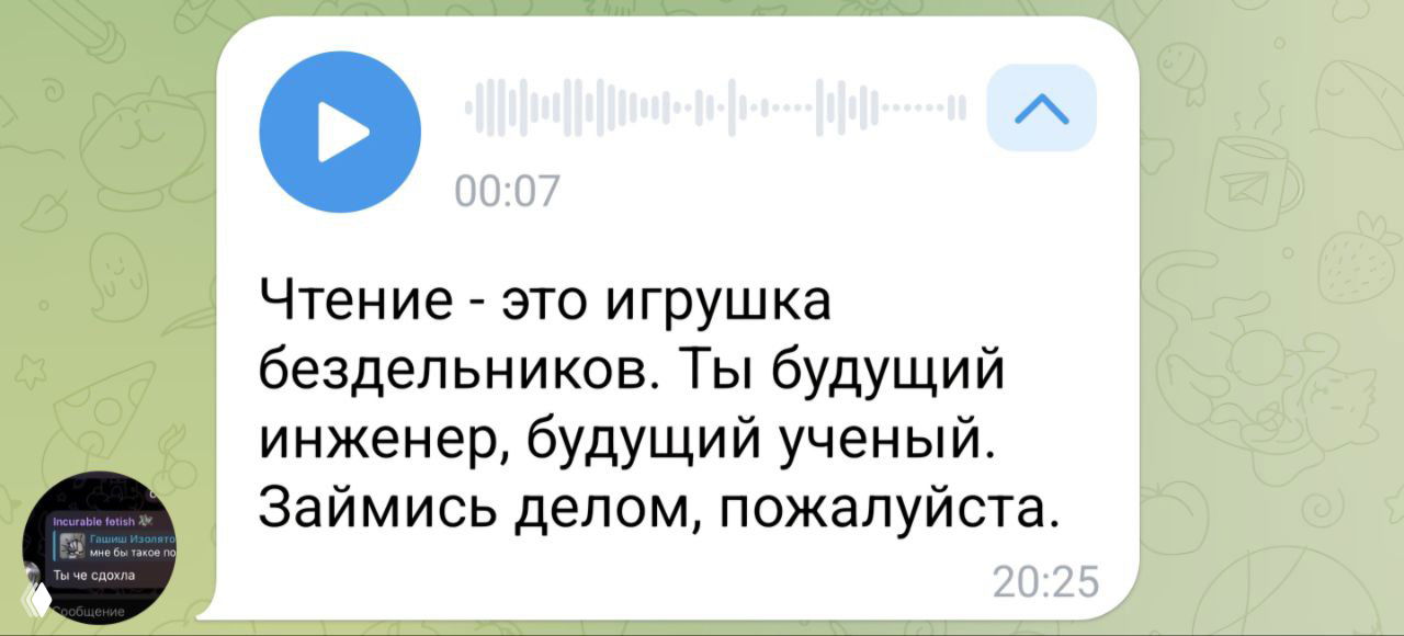 Скриншот голосового сообщения и реплики в чате Telegram: фрагмент аудиоплеера и текст с советом заняться делом вместо чтения.