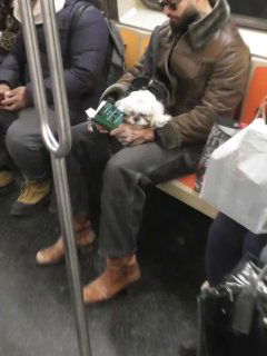 Мужчина выходит с сумкой, на которой висят книжные аксессуары и брелоки; уличный кадр показывает использование шармов в реальной жизни.