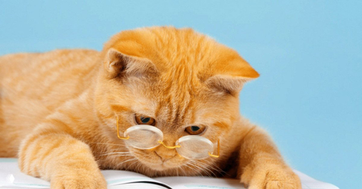 Смотришь в книгу, видишь фигу — читайте документы внимательно