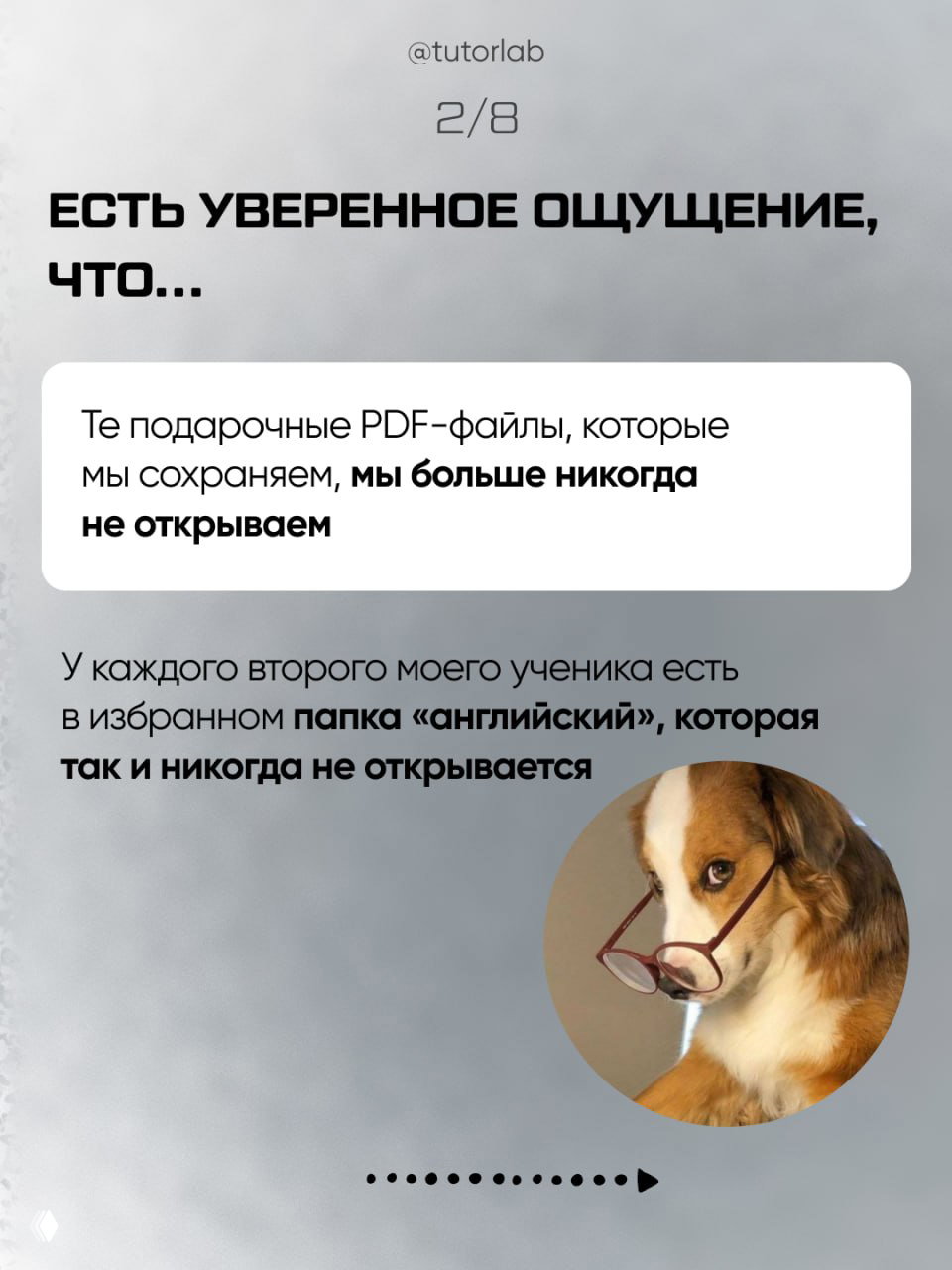 Сторис с текстом о "подарочных" PDF-файлах, которые остаются неоткрытыми; на фоне круглая фотография собаки в очках.