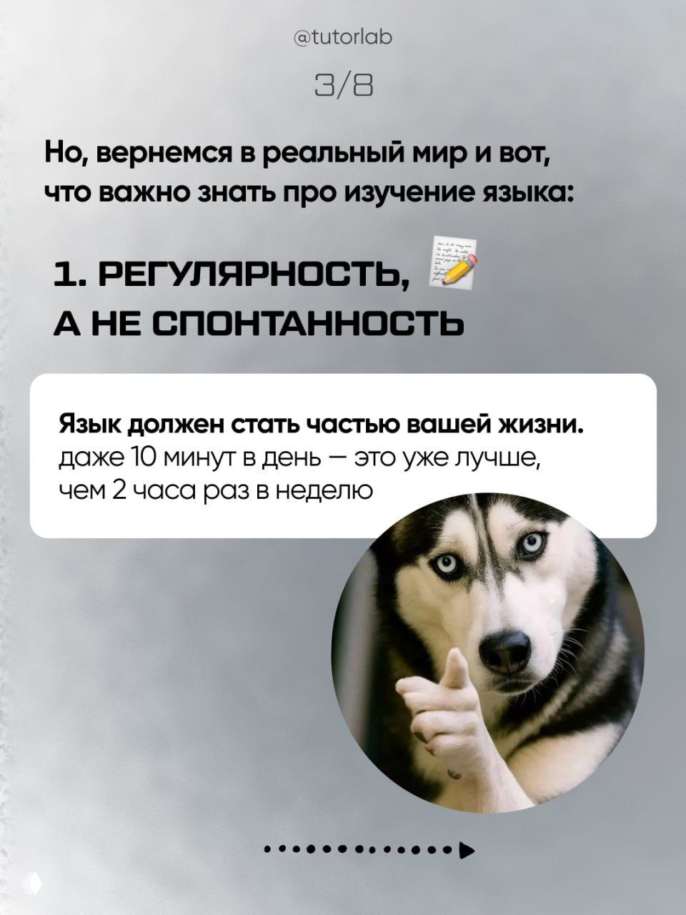 Слайд о регулярности в изучении языка: текст про 10 минут в день и круглое фото хаски, указывающего жестом.
