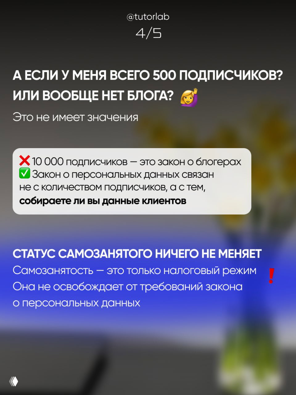 Слайд о количестве подписчиков: объясняется, что закон о персональных данных не зависит от числа подписчиков, а от того, собираете ли вы данные.