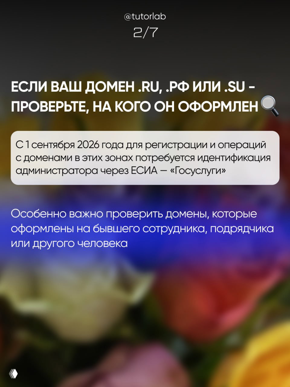 Информационный слайд о доменах .ru, .рф и .su: требуется проверка на кого оформлен домен и идентификация через ЕСИА для операций с доменами с 1 сентября 2026.