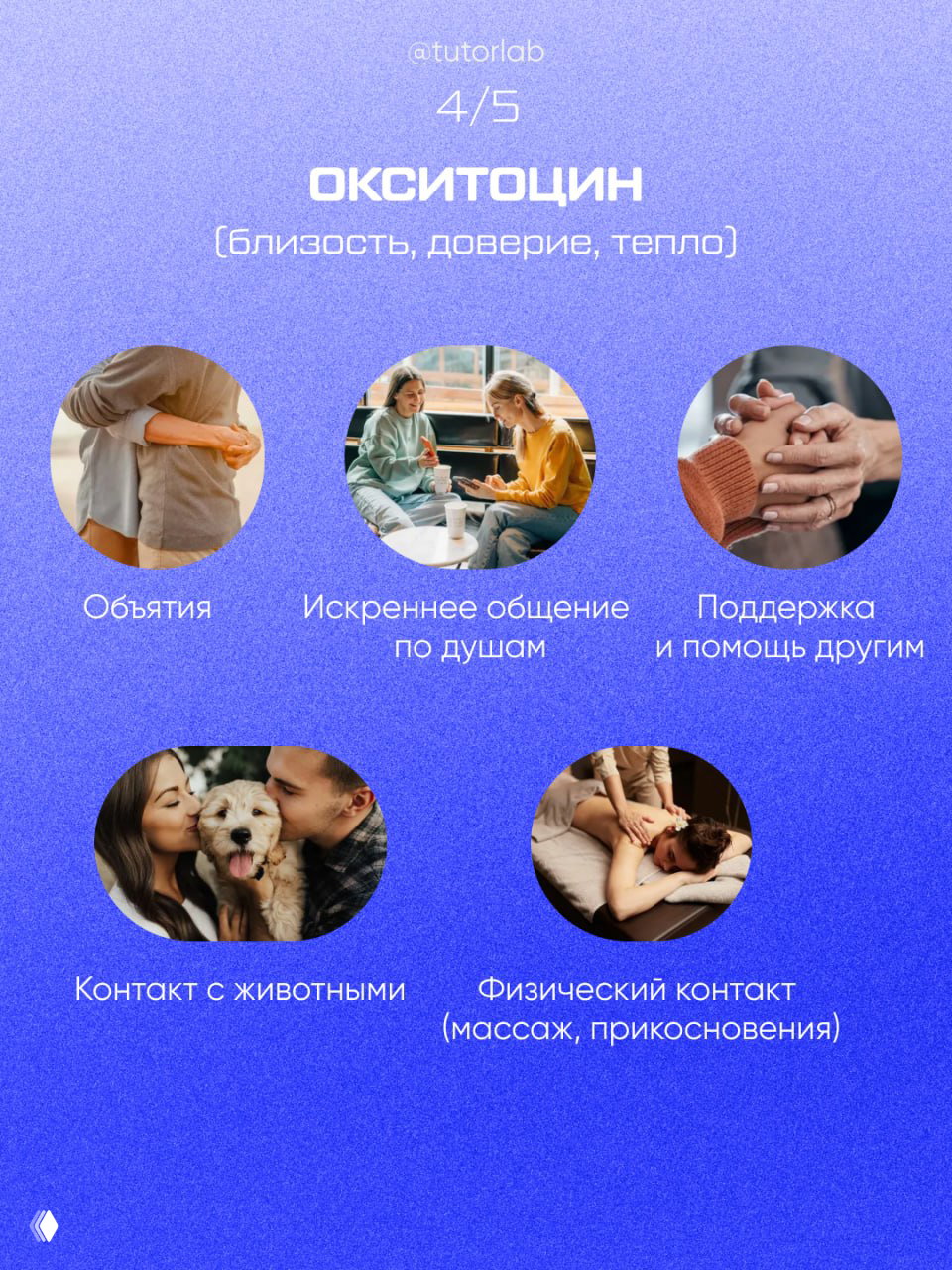 Слайд про окситоцин: близость, доверие и тепло; круговые фотографии объятий, искреннего общения, поддержки, контакта с животными и массажа.
