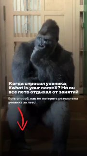 Задумчивая горилла в клетке на фото с наложенным русским текстом о том, что ученик отдыхал всё лето и теряет результат.