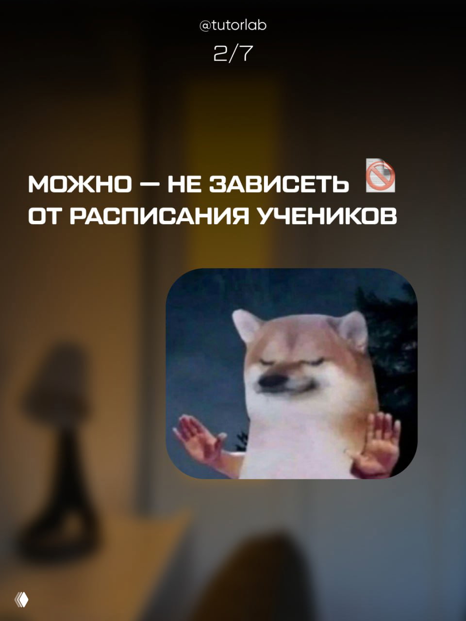 Слайд с текстом «Можно — не зависеть от расписания учеников» и картинкой мемного собаки, символизирующий возможность свободы от расписания и хаоса в работе.