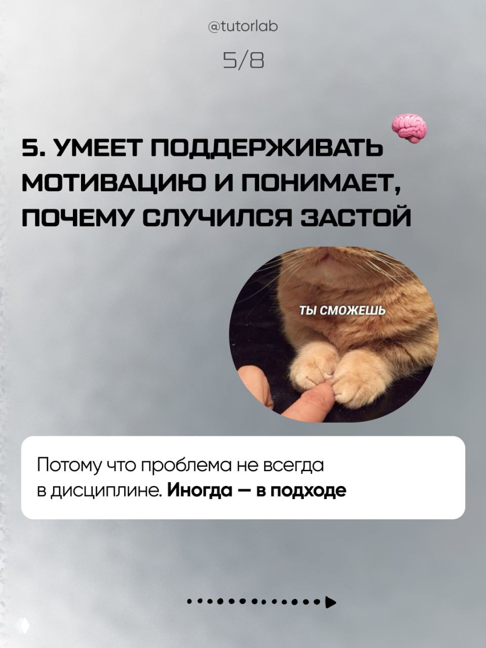 Слайд 5/8: текст о поддержании мотивации и причинах застоя, рядом круглая фотография с котом, подпись «Ты сможешь», фон одинаковый.