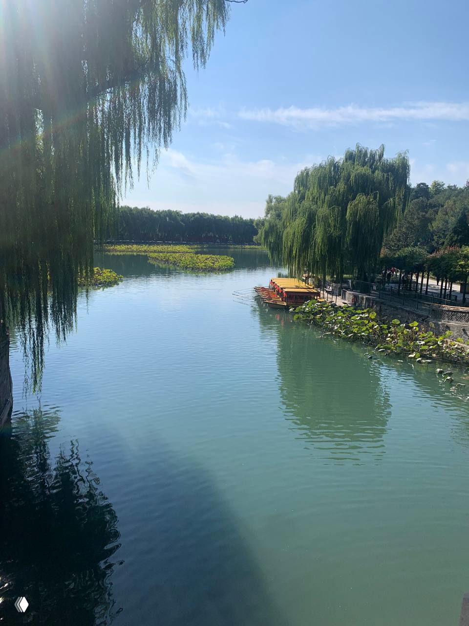 Вид на тихое озеро в Пекине с лодкой у причала, кувшинками на воде и свисающими ивами под ясным голубым небом.