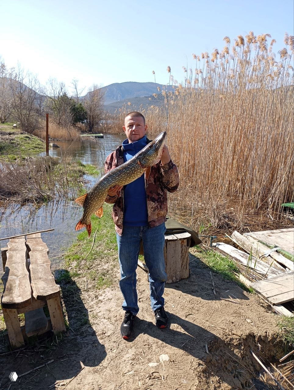 Гасфорт 15.04 — отчёт с водоёма