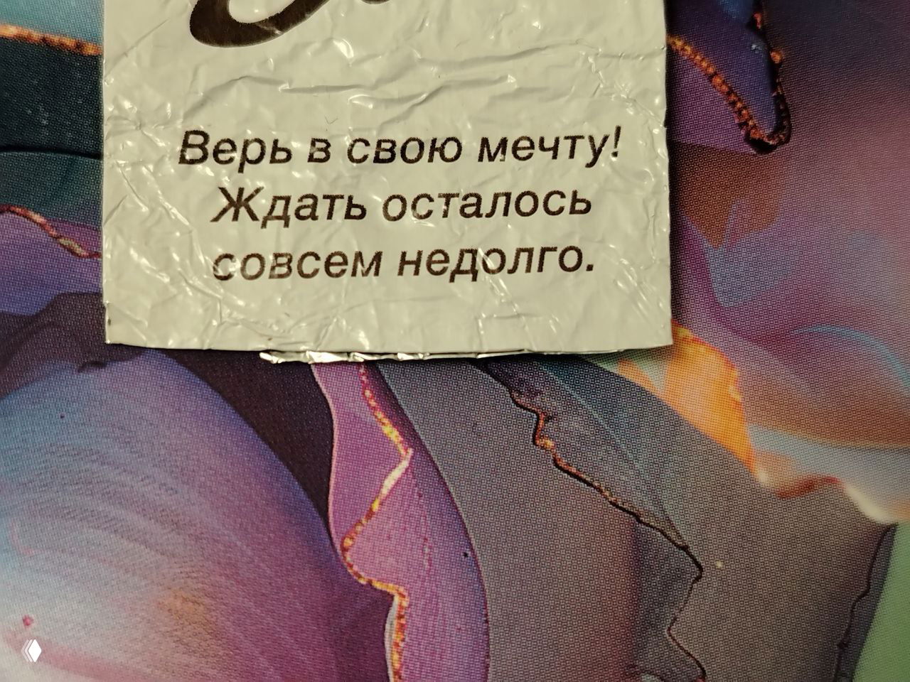 Мечтатели меняют мир