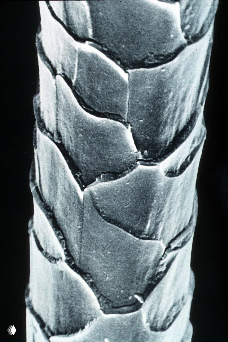 Как прохладное ополаскивание уменьшает пушение волос