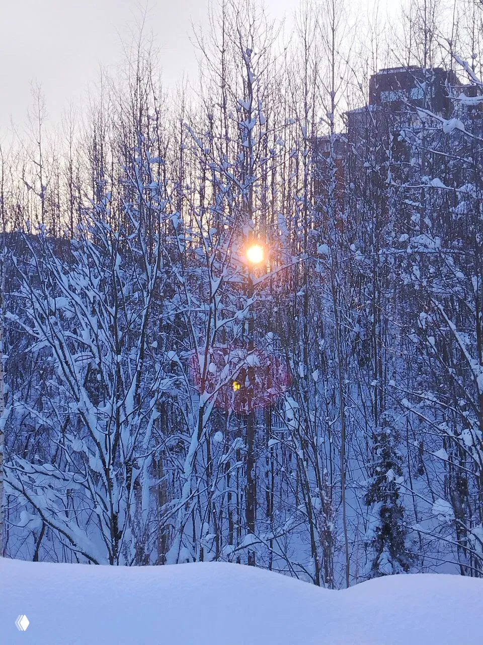 Ночь пройдёт, наступит утро ясное