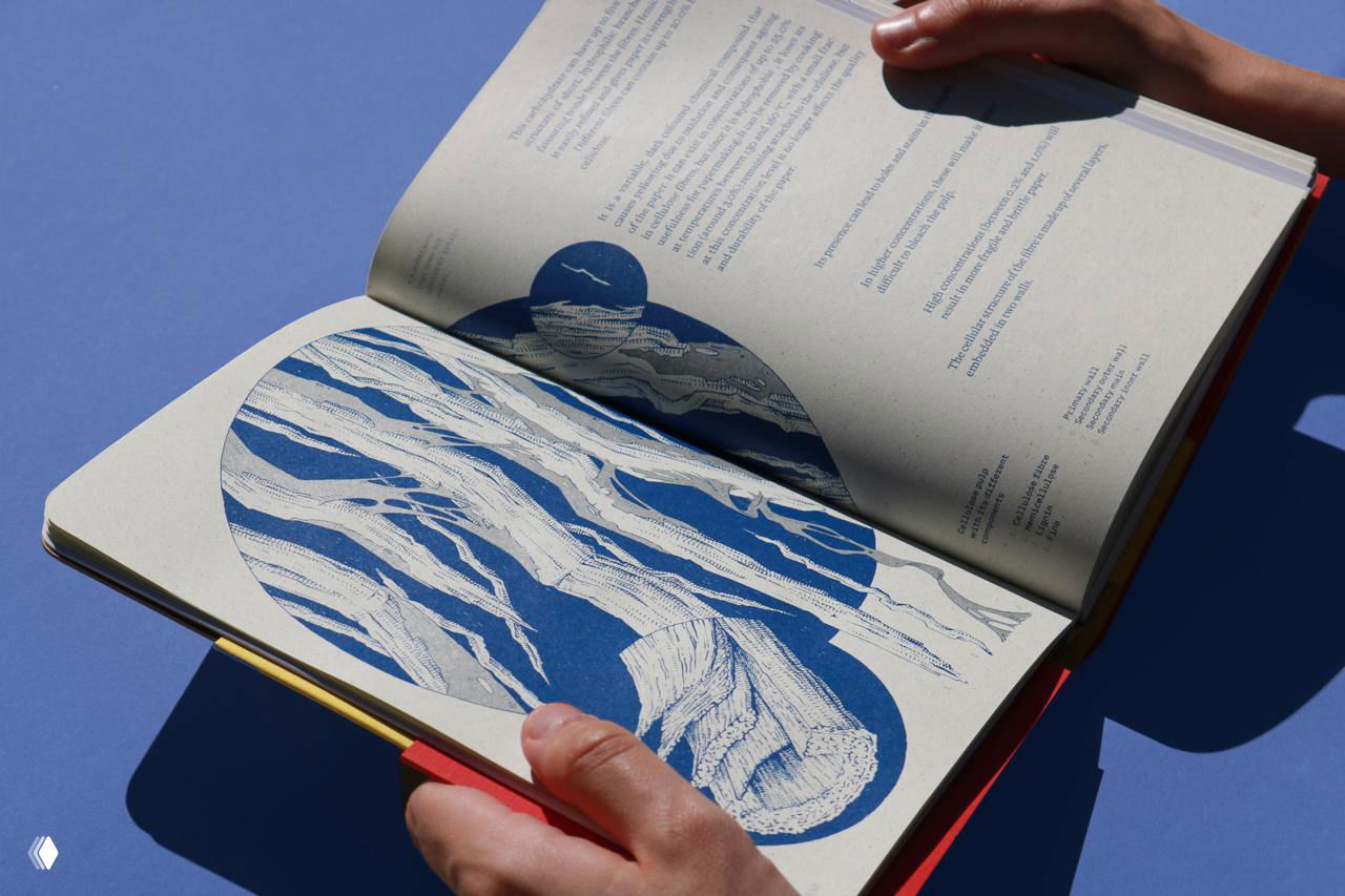 Руки держат открытую книгу: иллюстративный отпечаток синего цвета на серой бумаге, игра света и тени, акцент на фактуре и плотности листа.