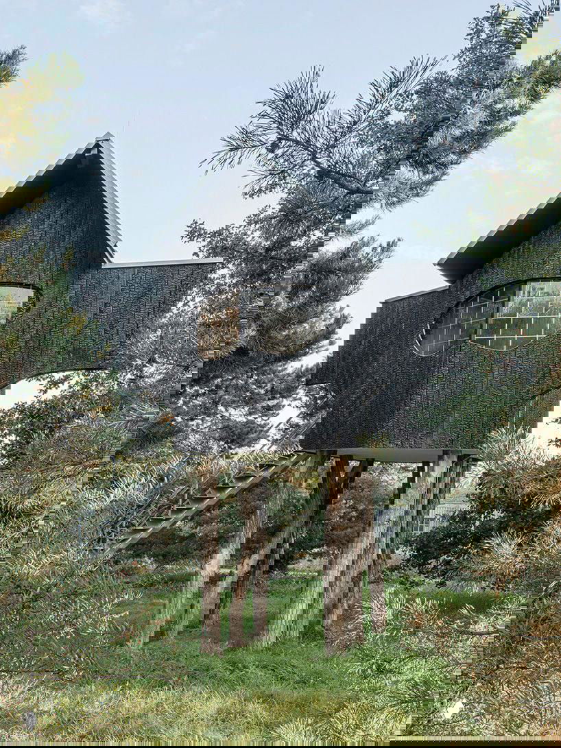 Черный домик на высоких деревянных опорах в зелёной роще; текстура обожжённой древесины и большие окна, художественный образ.