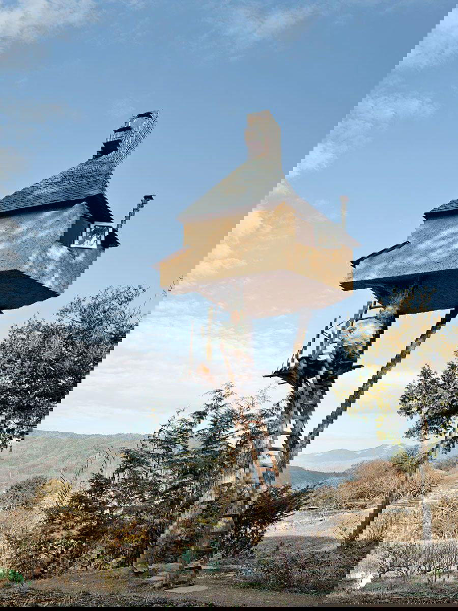 Поэтичные чайные домики Терунобу Фухимори