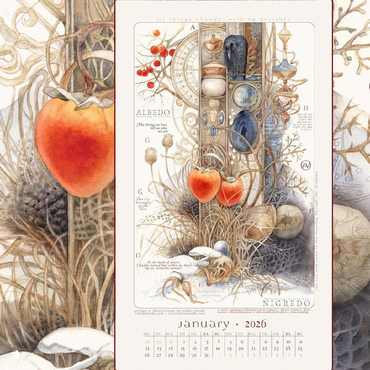 Элемент страницы календаря с насыщенными цветовыми пятнами и тонкой штриховкой; натуралистичные растения в стилизации под алхимические таблицы.
