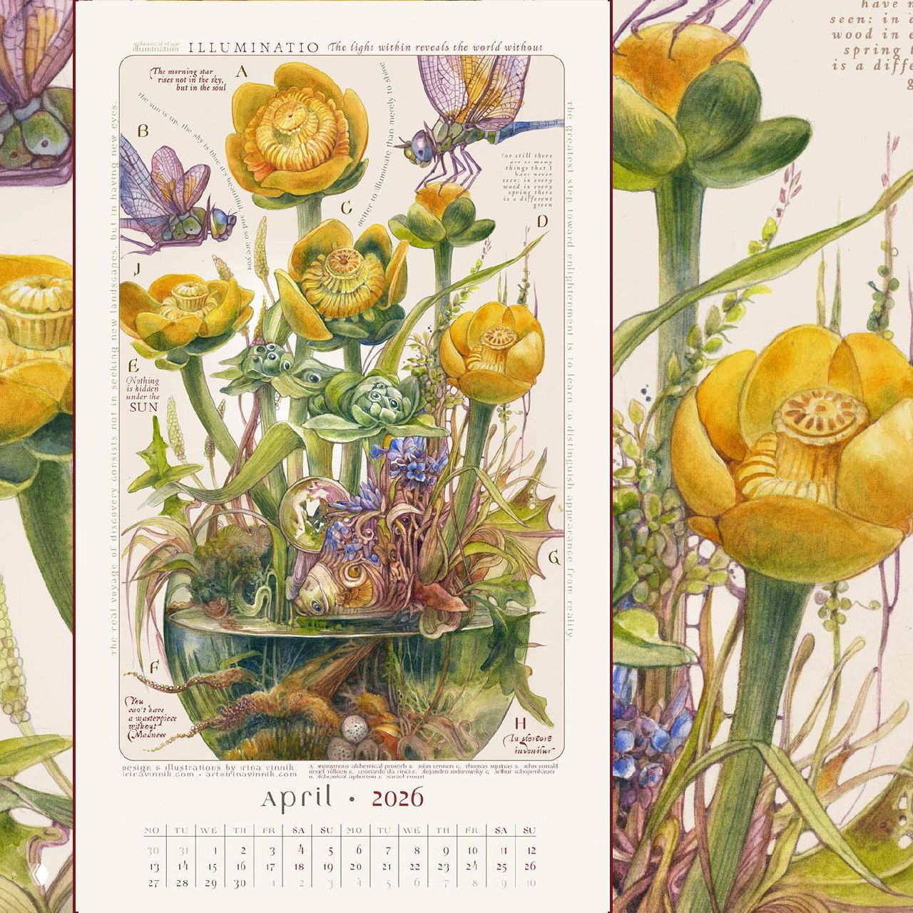 Страница календаря с растительными формами и солнечными желтыми акцентами; сочетание ботаники и символики алхимии в иллюстрации.