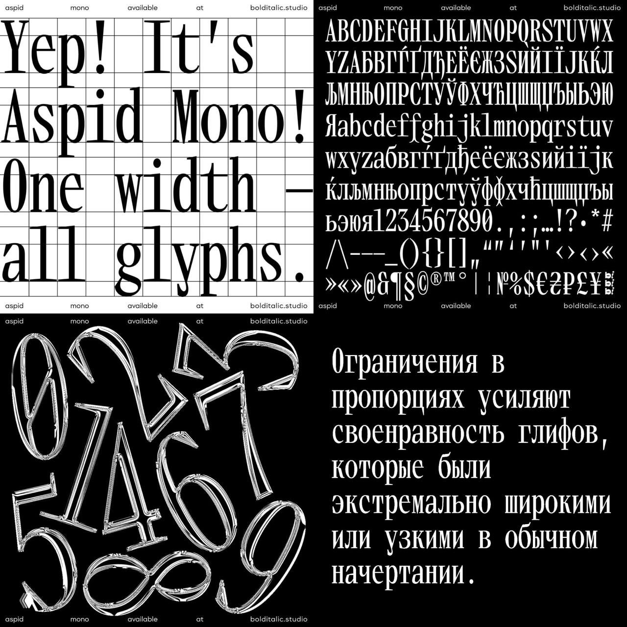 Aspid Mono — редкая моноширинная антиква
