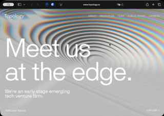 Скриншот главной страницы сайта Topology: крупный белый заголовок на фоне волнообразной графики, серо-бежевые тона и указатель курсора.