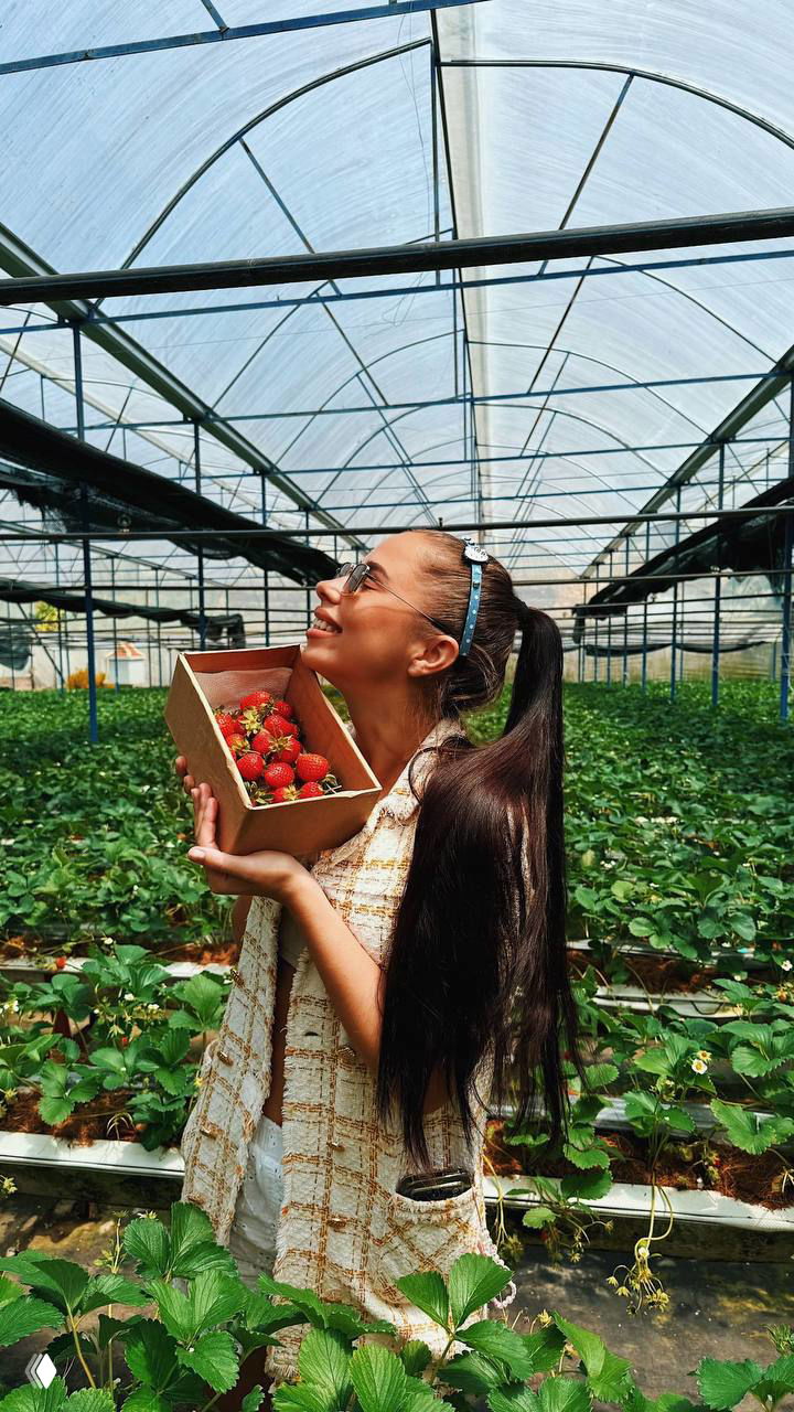 Женщина с длинными тёмными волосами держит коробку с клубникой в ряду грядок в теплице, улыбается и вдыхает свежий горный воздух плантаций Далата.