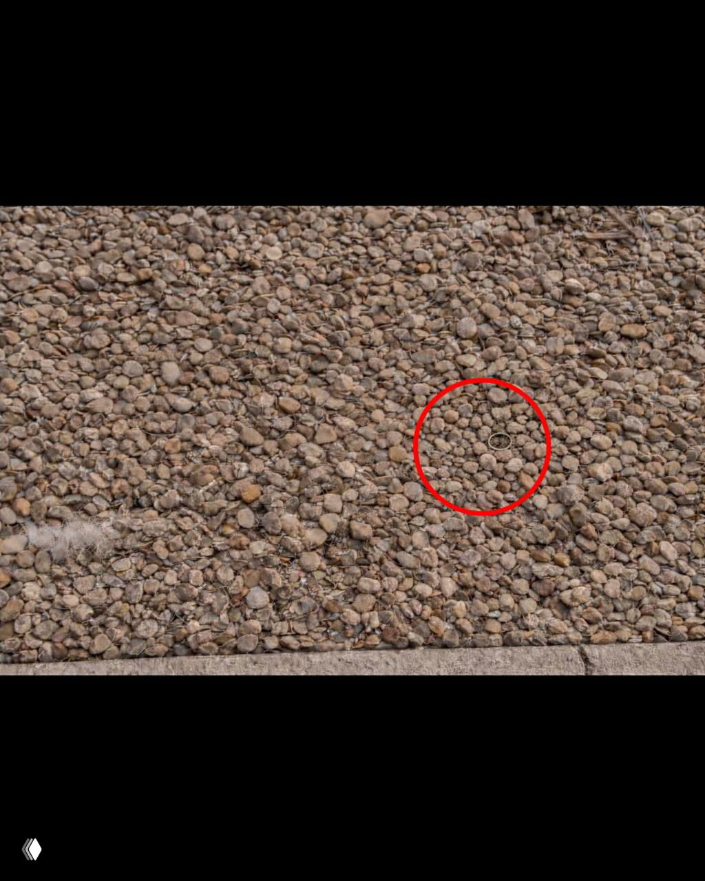 Фотография крупного плана гравийной поверхности с выделенным красным кружком, в котором видно тонкое золотое кольцо.