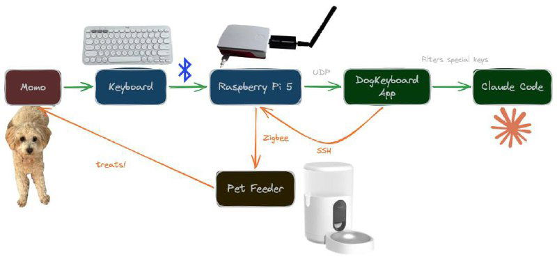 Пёс стал... вайбкодером.