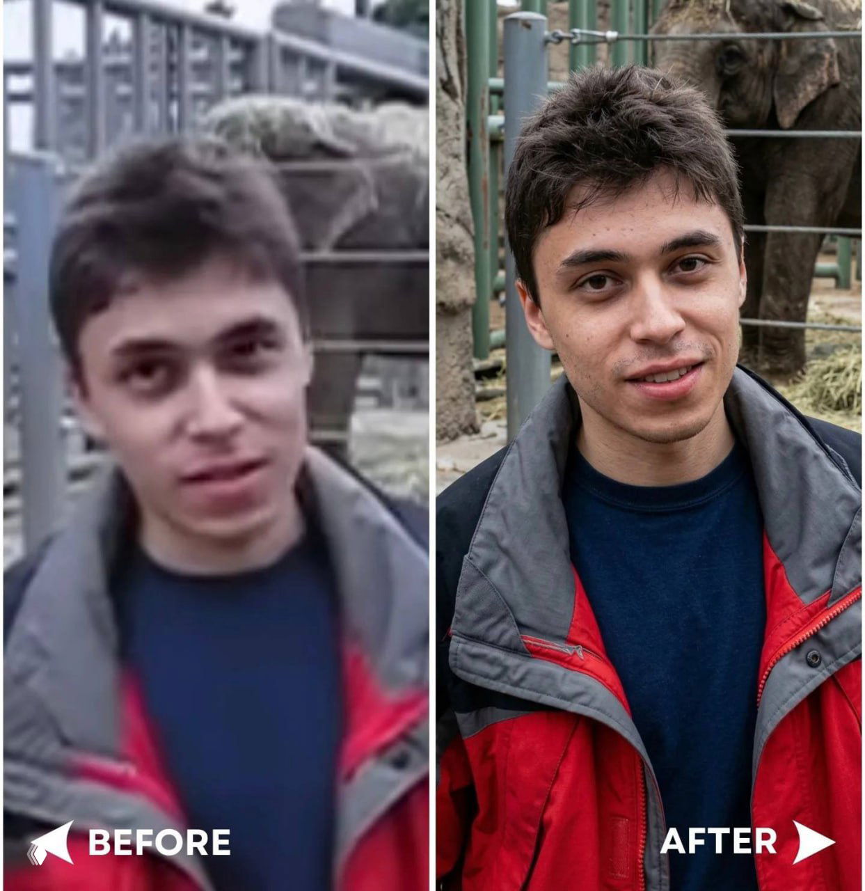 Коллаж «до/после»: мужской портрет возле зоопарка — слева размытие и шум, справа — результат с восстановленными чертами лица и цветовой коррекцией.