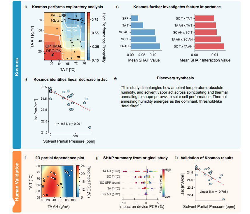 Инфографика с картами зависимости, SHAP-анализом и валидацией результатов Kosmos; визуализация ключевых зависимостей и подтверждение находок в исследовании.