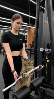 Молодая женщина в спортивной форме возле тренажера, на переднем плане кот как будто держит ручку тренажера; водяной знак Sora, шуточная сцена генерации видео.