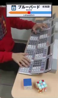 Руки человека играют на самодельном пианино из двенадцати карманных калькуляторов на столе, видны кнопки и элементы сцепления между ними.