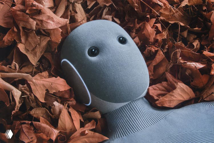 Крупный план лица робота Neo среди опавших листьев, демонстрирующий текстуру корпуса и крупные «глаза»-сенсоры на фото.