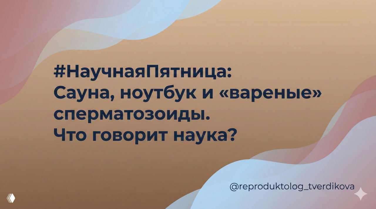 Сауна, ноутбук и «вареные» сперматозоиды