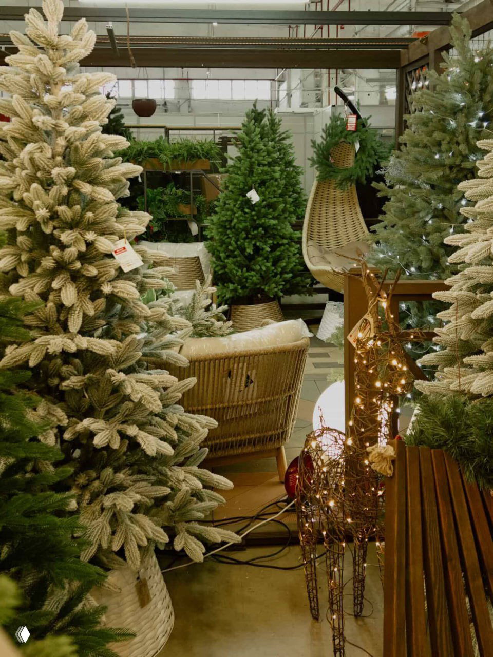 СКИДКА 35% на все ёлки — до конца января