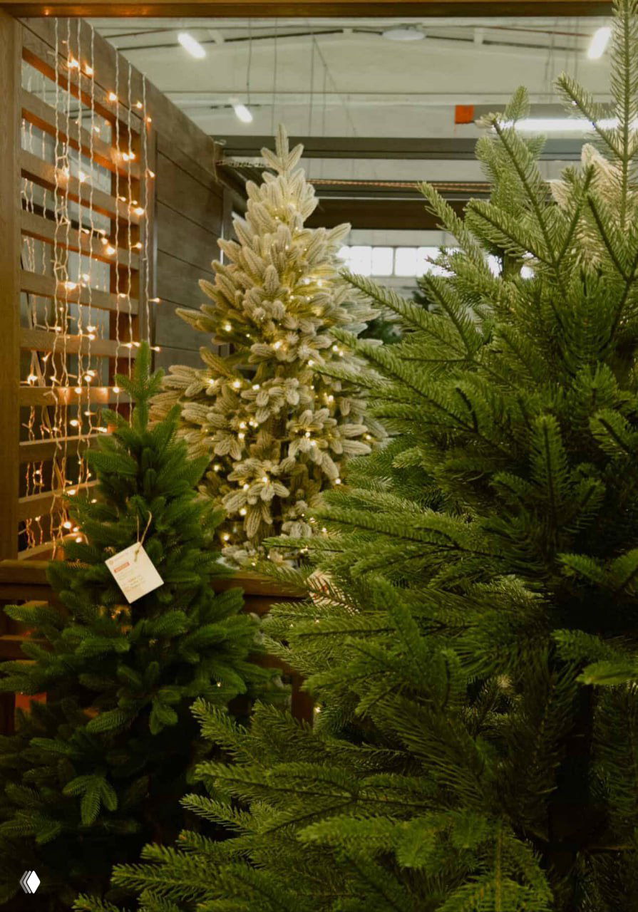 Ближайший план искусственных ёлок с декоративной подсветкой и гирляндами; видны ценники на моделях и элементы оформления торгового зала.