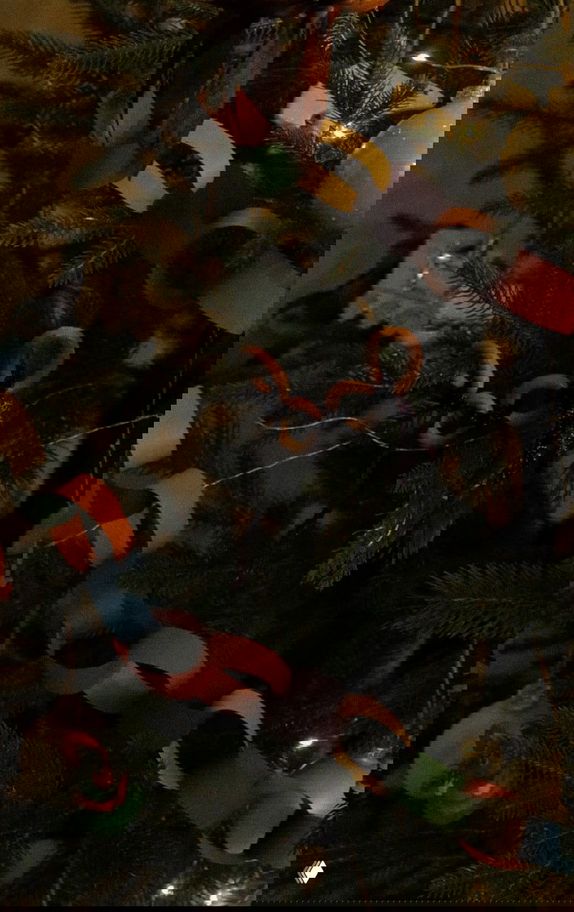 Ёлка «Подольская» 1,7 м — аккуратная и домашняя