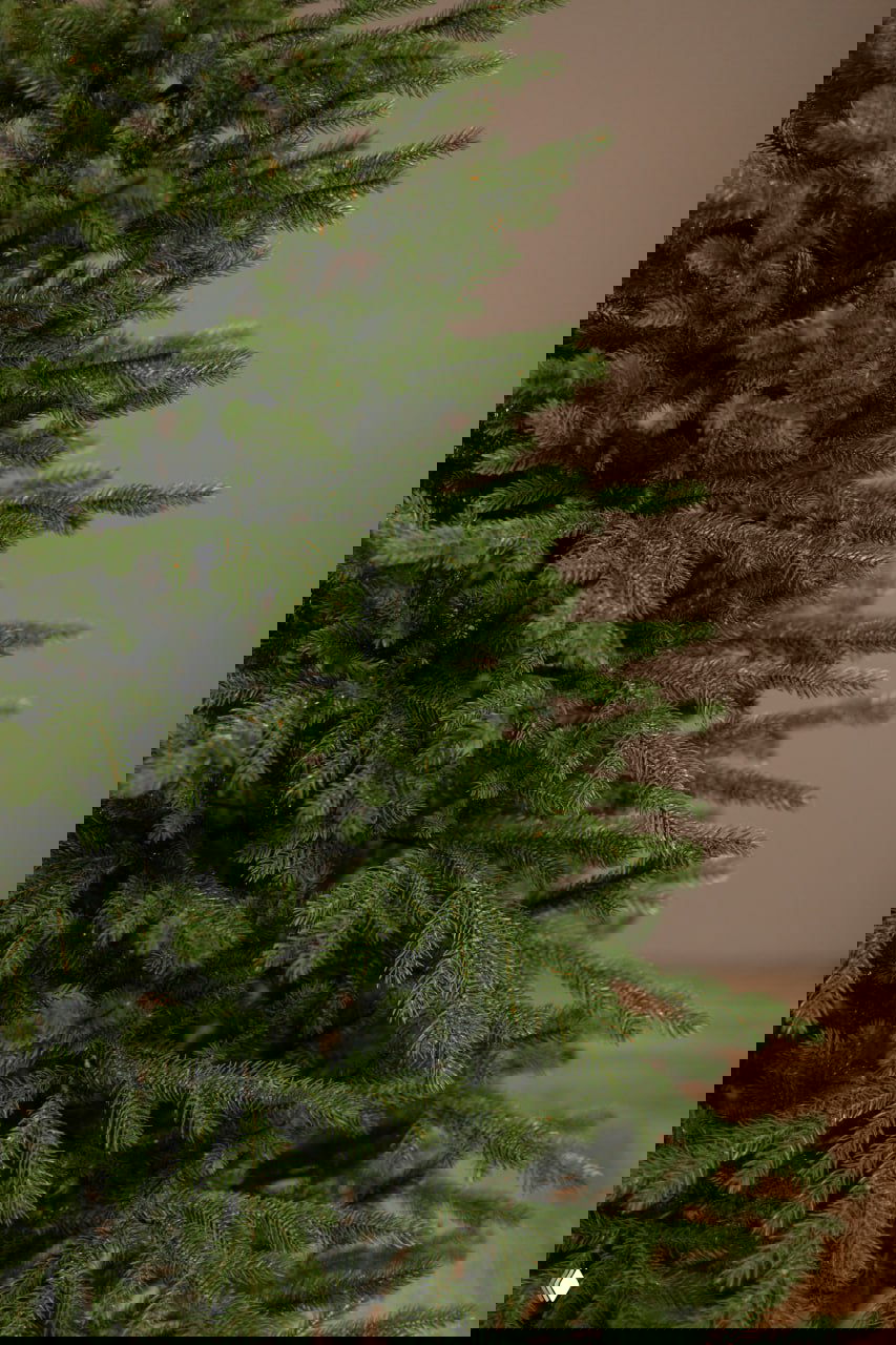 Крупный план ветвей ёлки «Уральская» 210 см: реалистичные иголки и текстура искусственной хвои, демонстрация качества материалов на светлом фоне.