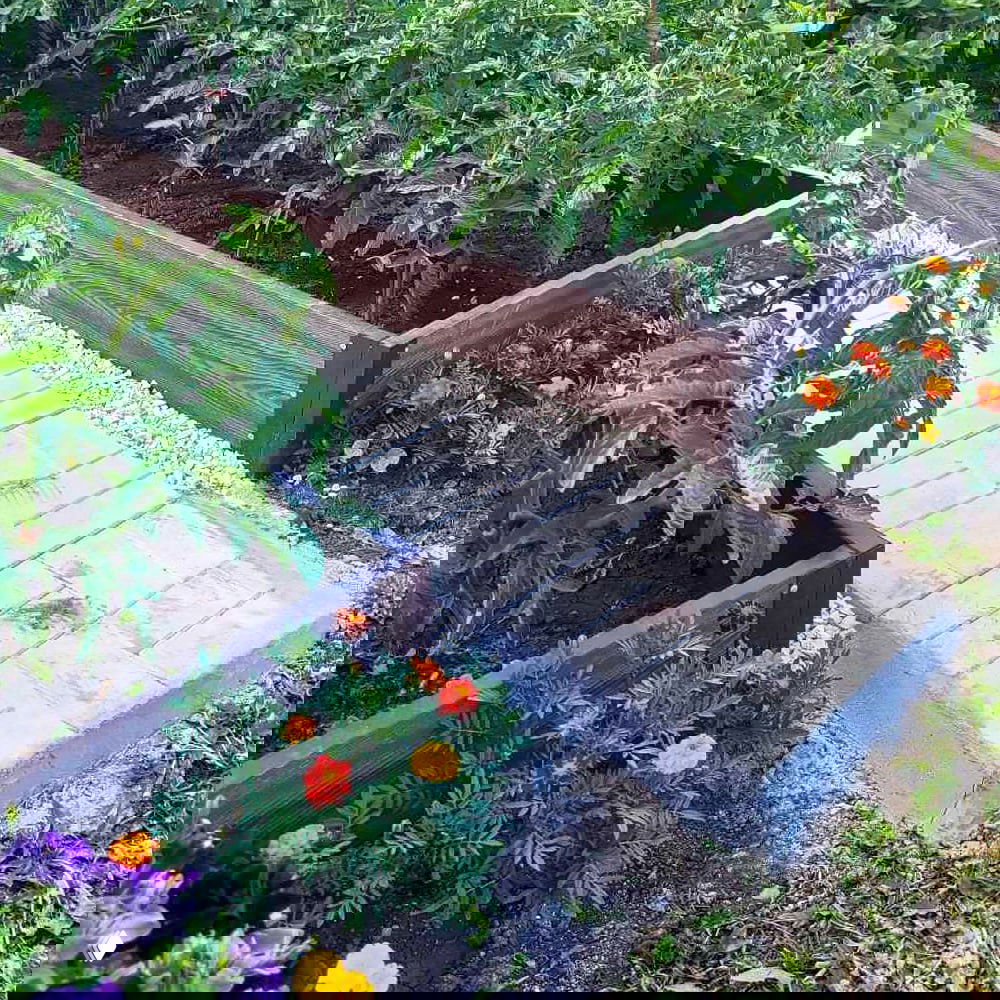 Крупный план угла грядки из ДПК рядом с декоративными бархатцами и бетонной плитой — видно соединение панелей и аккуратную отсыпку вокруг.